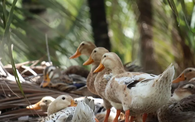 女人在恋爱中最容易犯的三个错误