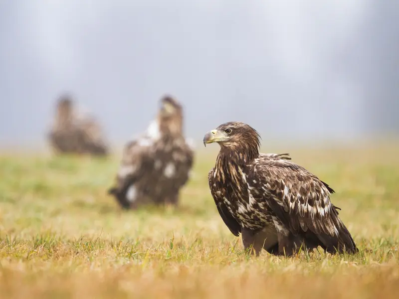 老婆防小三最有效的三招，聪明的女人都在用！