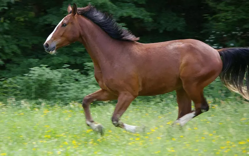 三种最失败的恋爱，挽回你一定要学会避开雷区