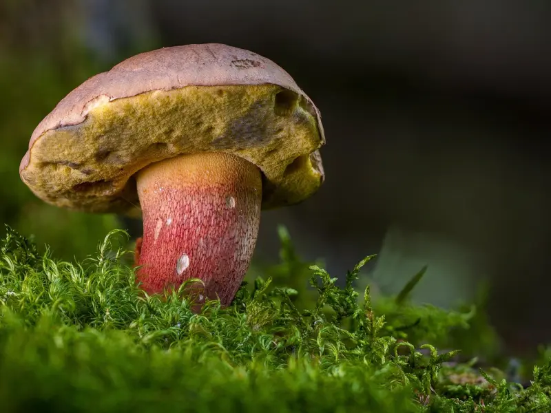 感情中最不可忽视的三个字《存在感》