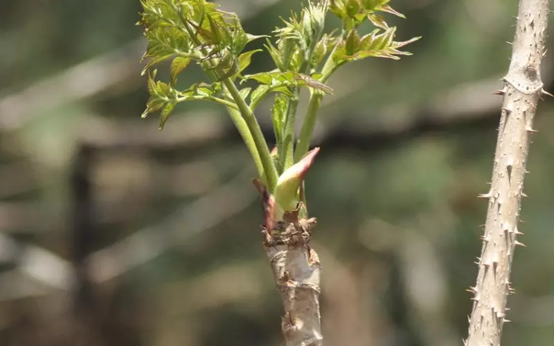 分手后男人的三个心理阶段，用不同方法挽回更快！