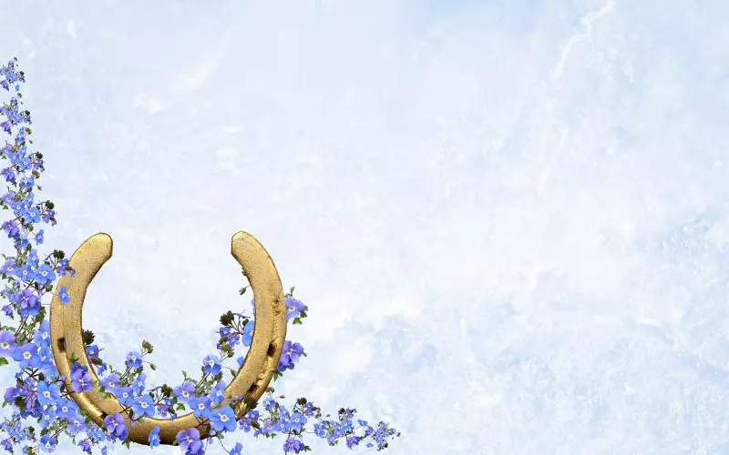 最念旧情，最容易挽回的三大星座