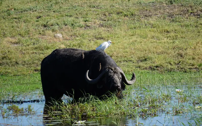 那些你“万万没想到”的五大爱情谎言！