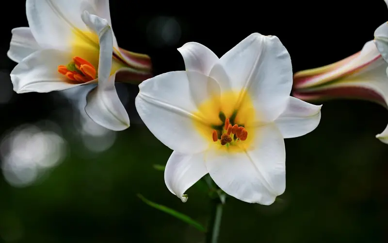 ?百合网《国人婚恋报告》十大看点！