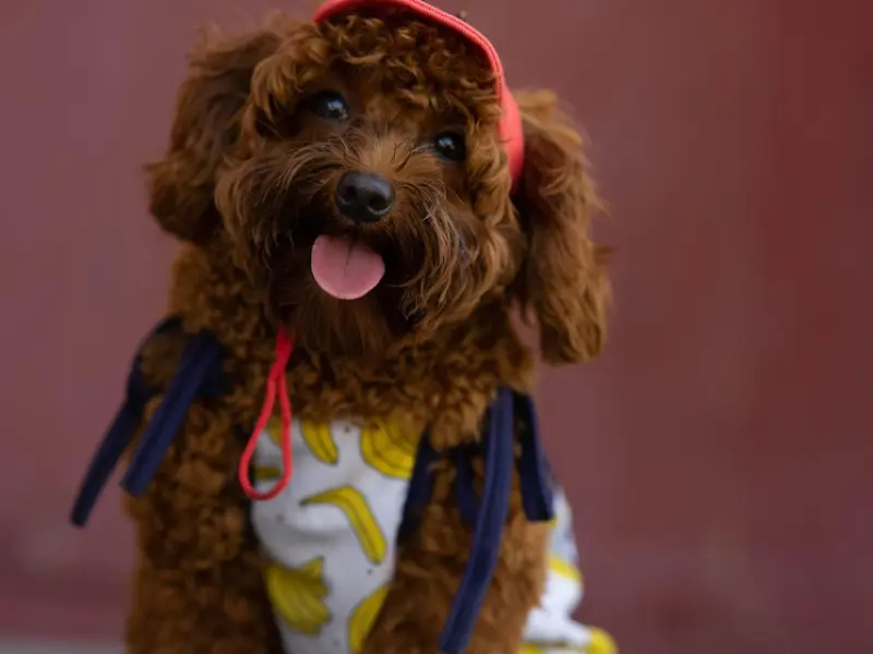 十句最能挽回女友的歌词，每一句都感动她的心