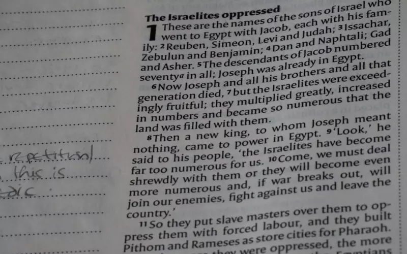 中年男人玩婚外情的悲惨下场(50岁男人婚外情多半是什么情况)