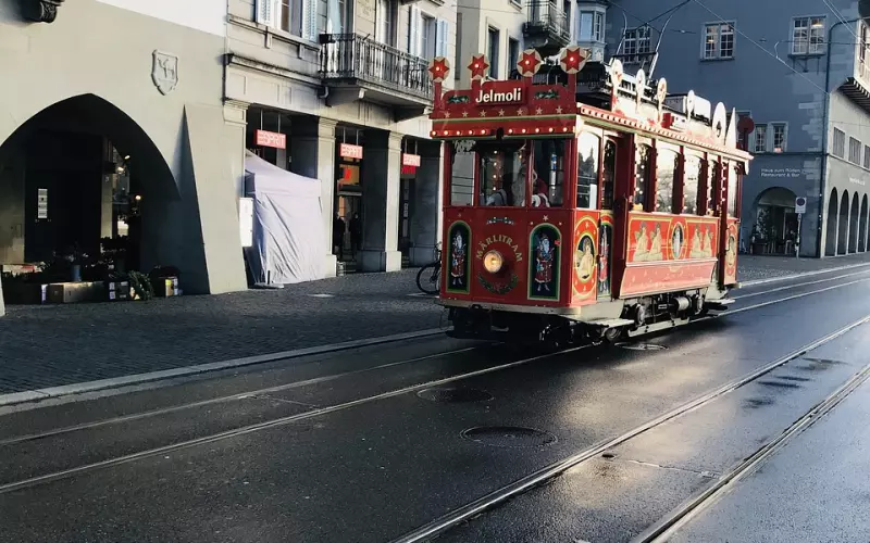 两头猪的真爱，看完我哭了....