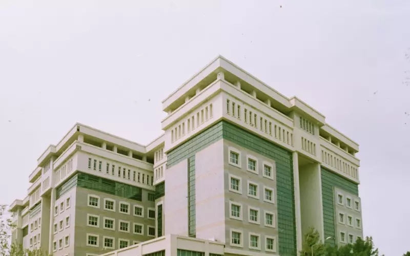 真情说法隐藏了八年的婚外情(婚外情的大戏里谁才是真正的赢家)