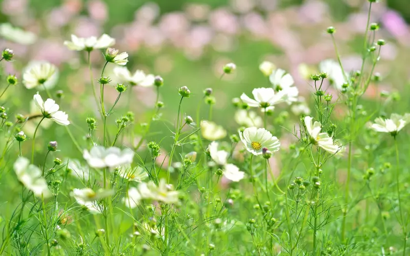 婚姻的真相：一边互相嫌弃，一边继续将就