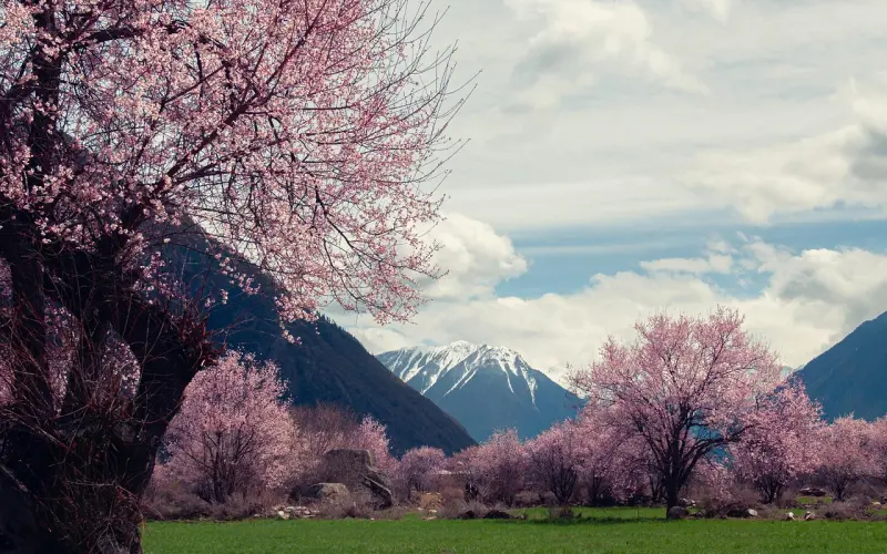 十二星座本周桃花大爆光