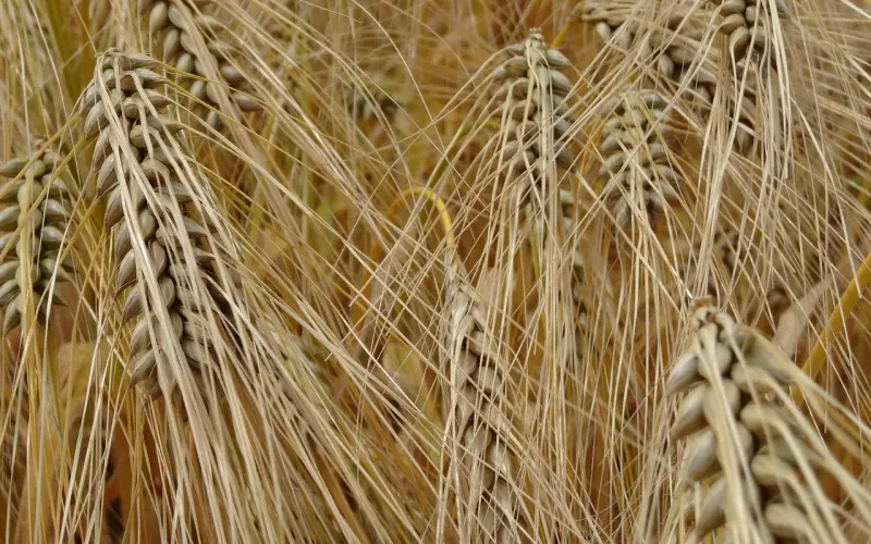 好命女人的2大定律，一定谨记