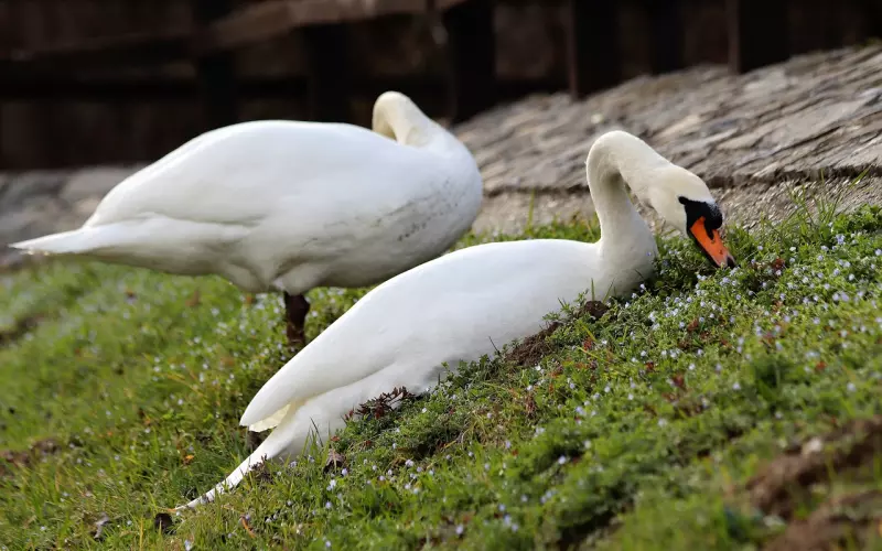 夫妻相处中最容易被你忽视的两个点