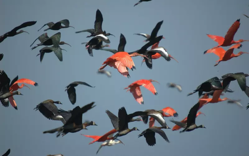 分手之后挽回男朋友的必杀技