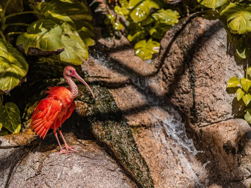 挽回女友的必杀技：分手后快速挽回死心的女友的三大绝招