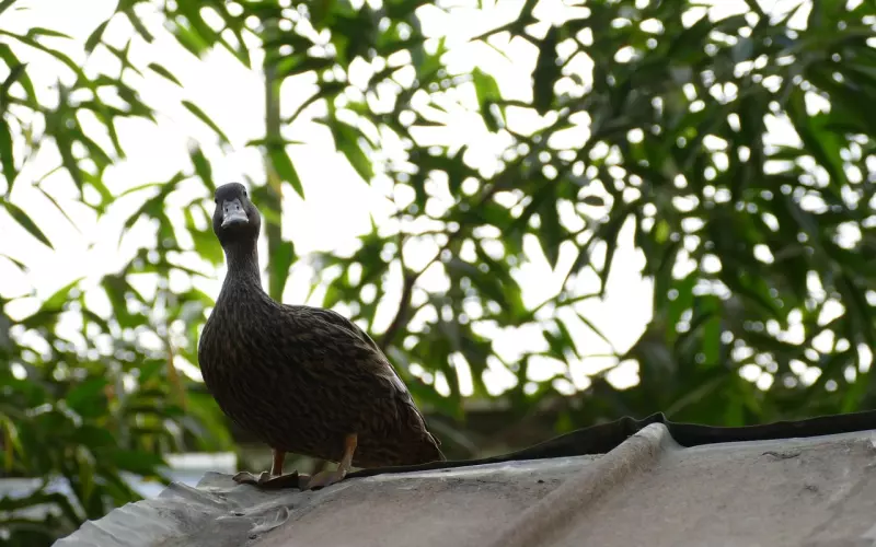 挽回中的等待，是为了走的更远