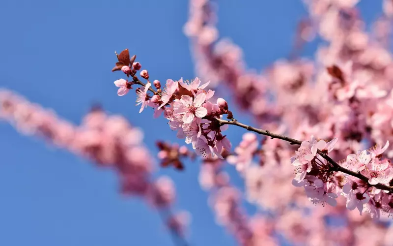 挽回男友的方法是....