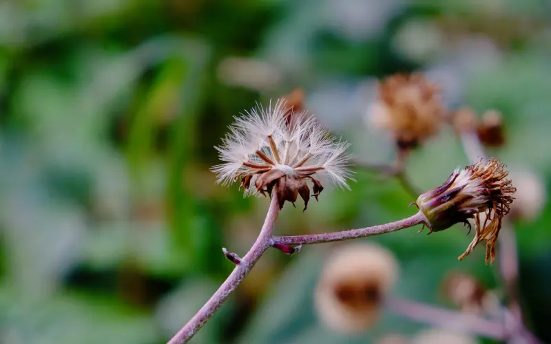 2016年挤进前十名的微信段子，笑死了！