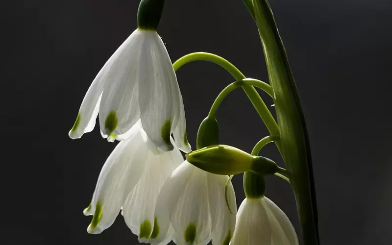 婚期将近，男友坦白有几十万赌债，还结吗？