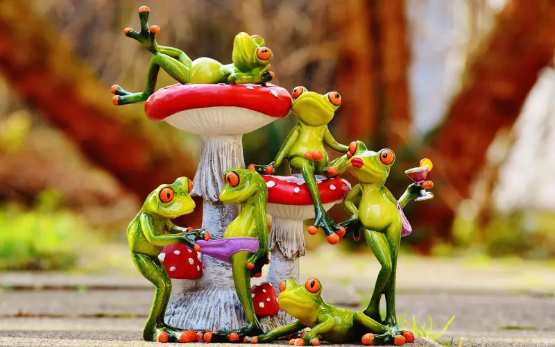 全网都在羡慕的婆媳关系，52岁的伊能静到底有什么魅力？