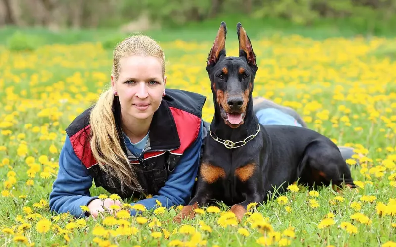 女方出轨，男方要离婚怎么挽回？情感专家给你的建议！