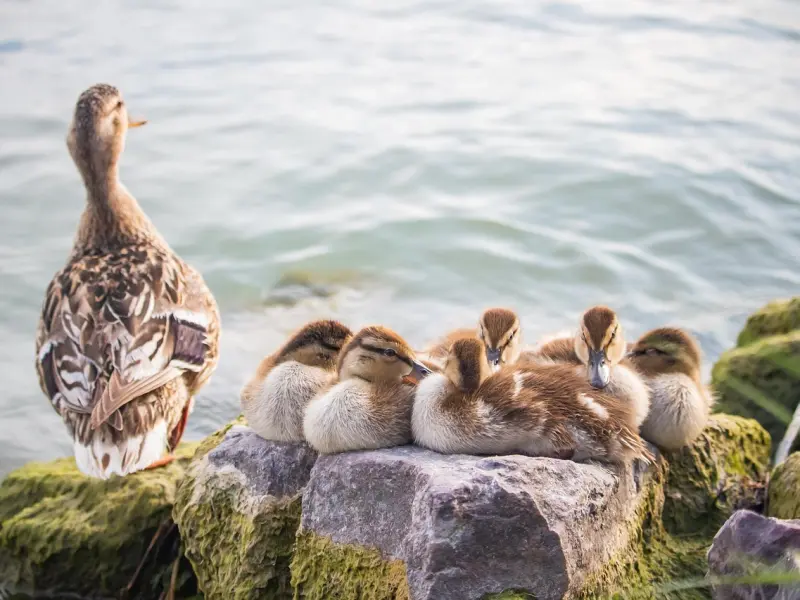 那个陪我东山再起的女人