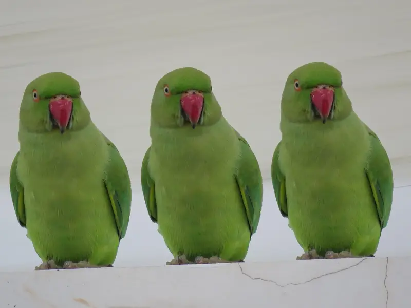 想入你怀中的女人，一定有这三个表现