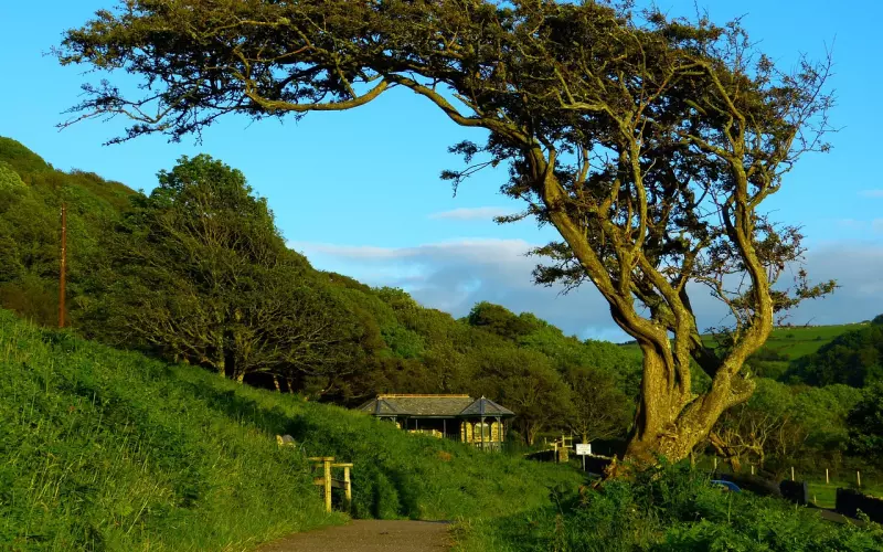 风中的话语没变，只不过停留在了昨天