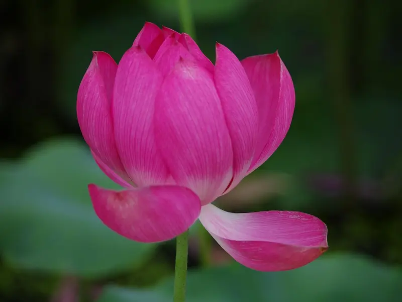 最能挽回男友的话，句句感动到哭