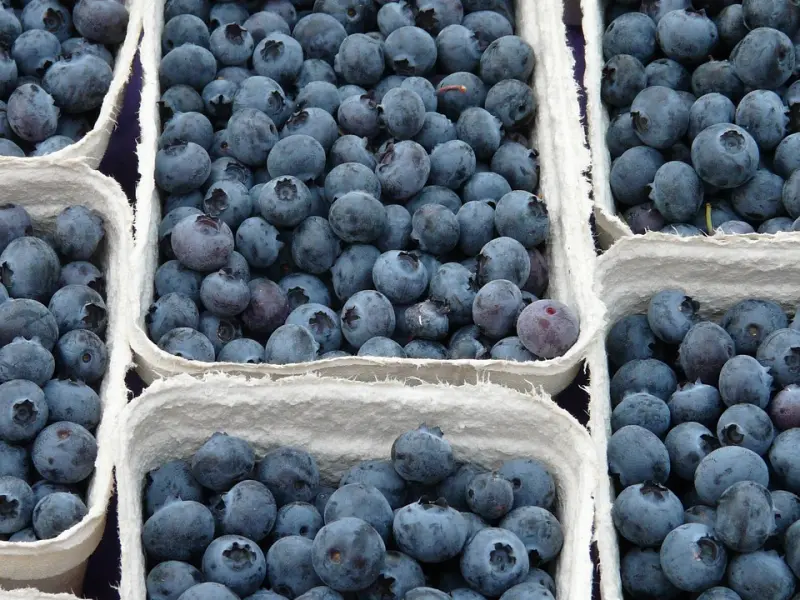 女人在这三个方面越坏，男人越喜欢，你知道吗？