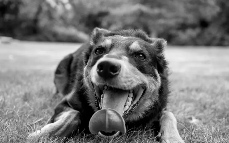 错误的挽回方式，派第三者前去沟通