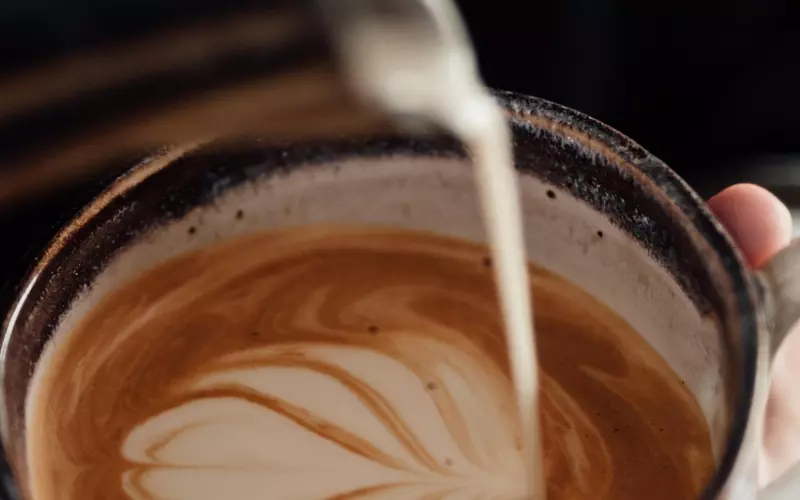 ?小两口拿结婚证，笑到不行！