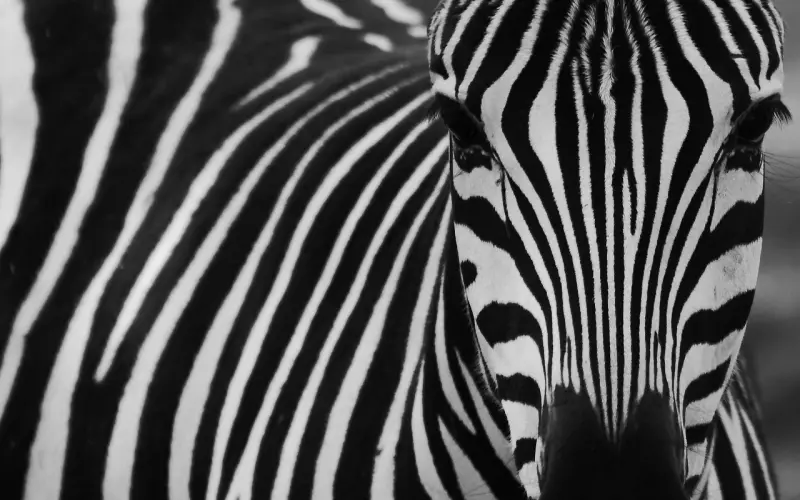 被女生拉黑的聊天方式有3个，你中标了么？