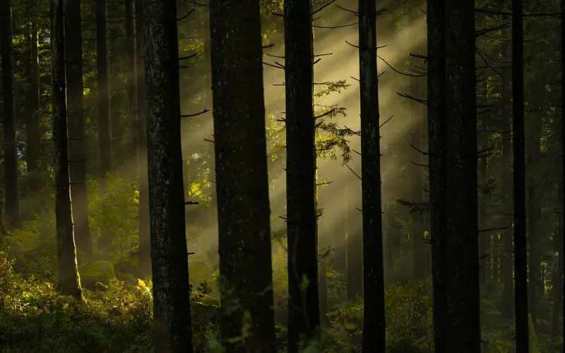 被女生拉黑的聊天方式有3种，你中奖了么？