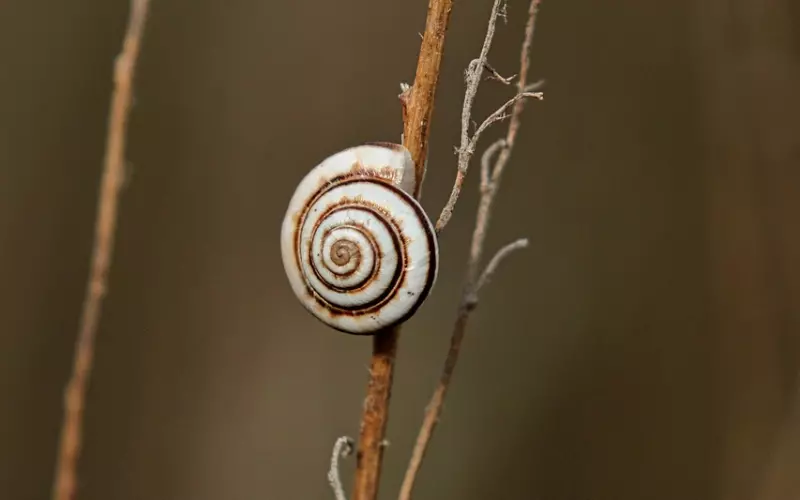 第一次接吻4点禁忌，流口水排第二