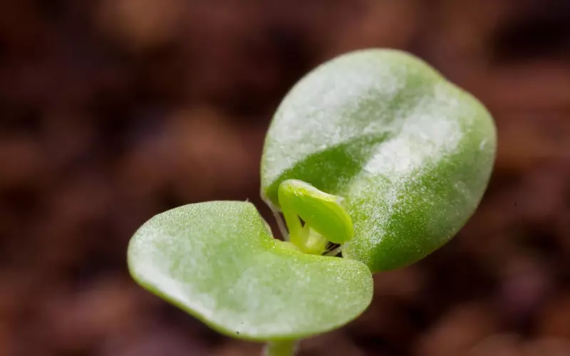 前男友分4种类型 对号入座挽回前男友
