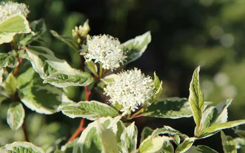 挽回也有疑难杂症，小妙招专治不服...