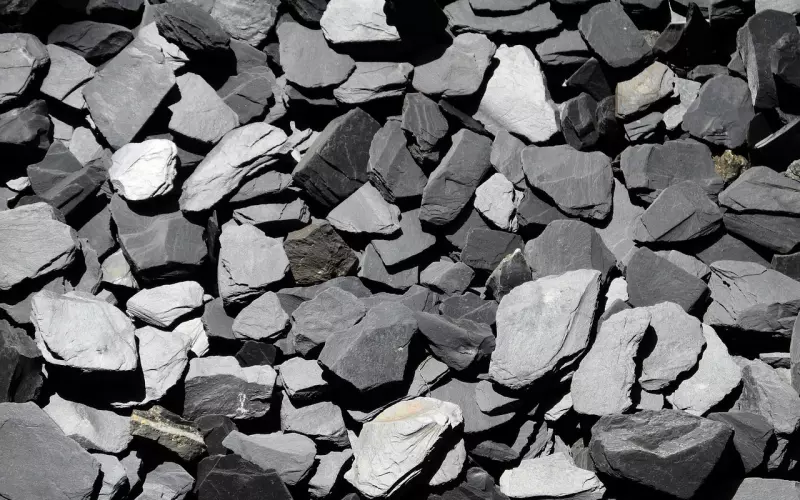 挖墙脚也分该挖和不该挖