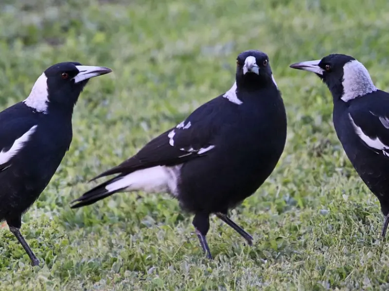 总有些句子，让你湿了眼眶，疼了心脏！