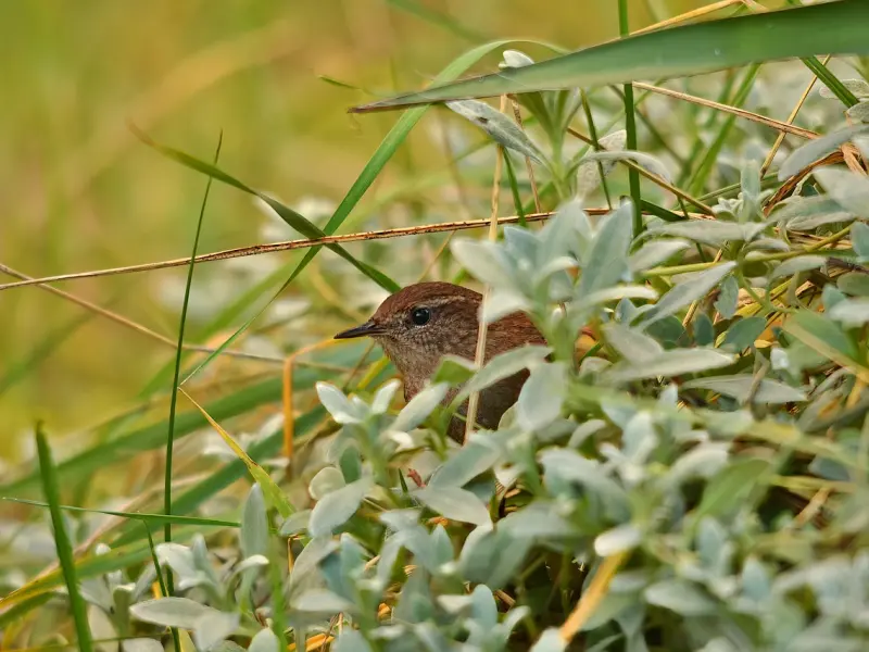 不同场合要有不一样的搭讪方式