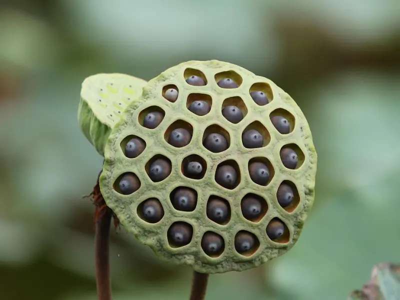 “女人主动想让你得手会有5种表现，你知道几种？”
