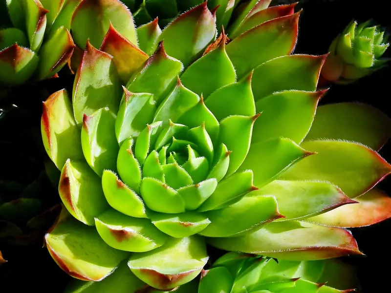 女人对你“有意思”的四个暗示，发现一个你就可以向她表白了！