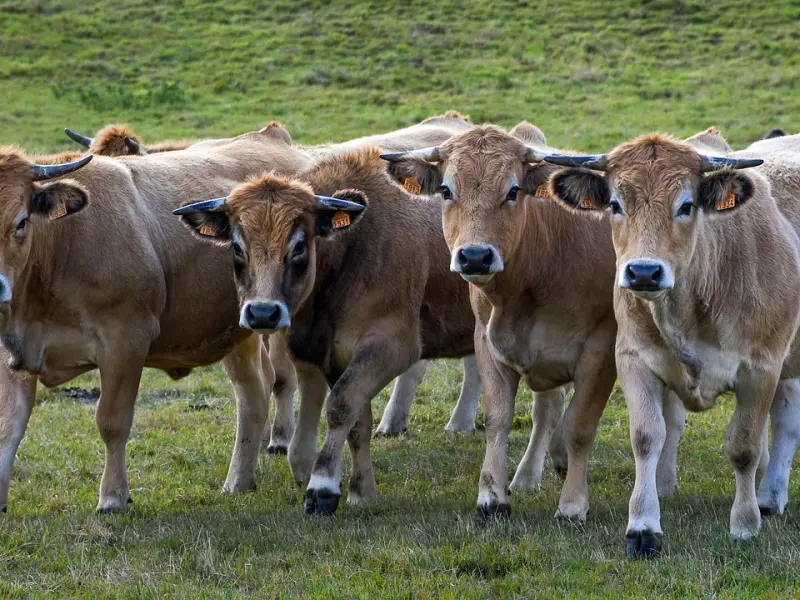 男人喜欢上你，逃不掉有四个表现，说明想和到白头，装不出来