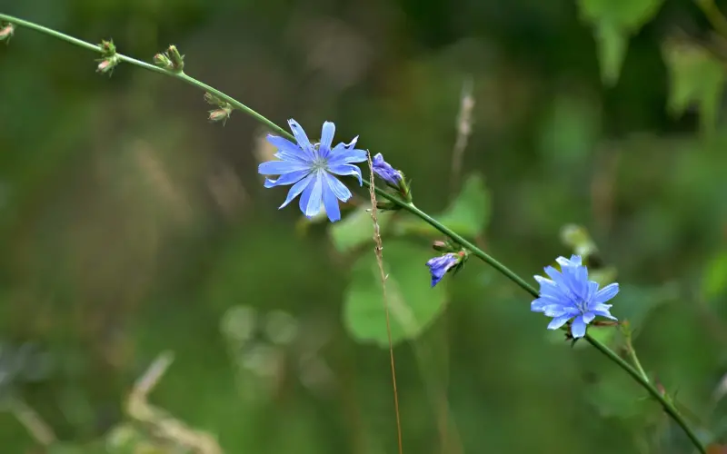 多的是你不知道的事