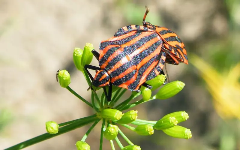 在分手后，有很多错误的挽回方式，你中了几条？