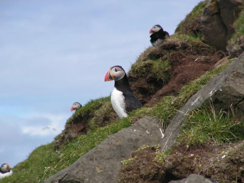 挽回前任只需三招，学会了，保管前任主动找你复合