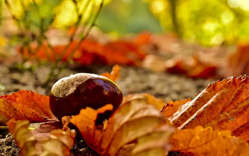 前任回头只有两种情况，前男友没放下的表现