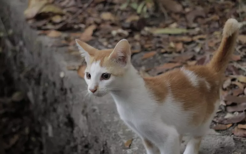 前任回头只有两种情况 女生一定要想清楚