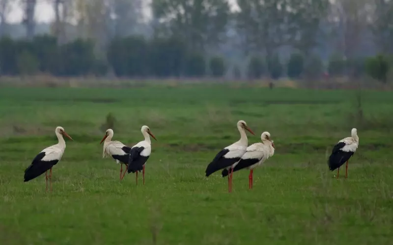 前任回头只有两种情况 女生一定要想清楚