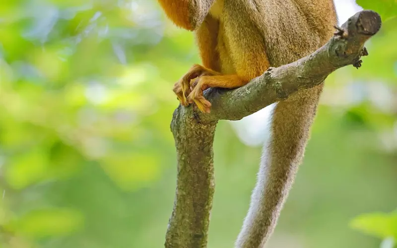 一粒米里有七位神仙，还跟你的福报息息相关！