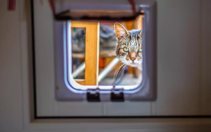 夫妻间几种称呼，不要害羞，看看哪一种属于你